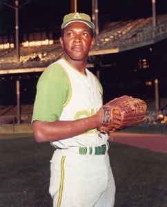 Vida Blue